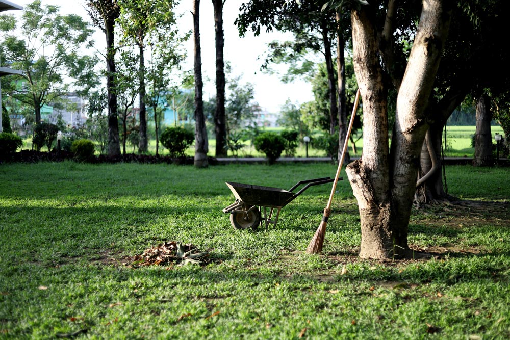 gardener 10